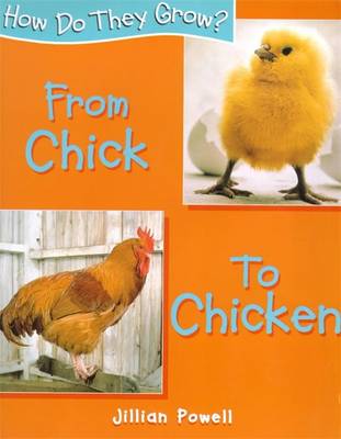 Book cover for Chick to Chicken
