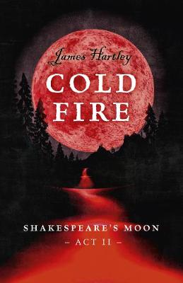 Book cover for Cold Fire