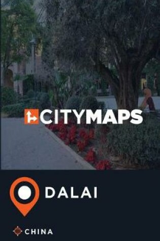 Cover of City Maps Dalai China