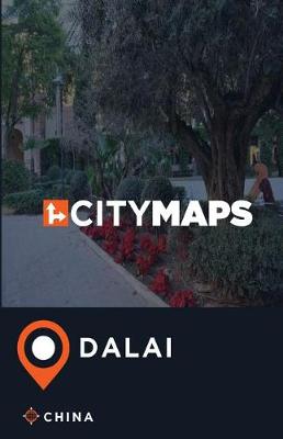 Book cover for City Maps Dalai China