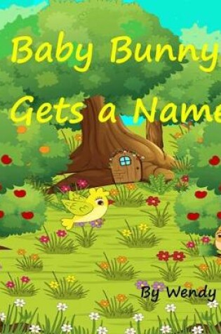 Cover of Baby Bunny Gets a Name