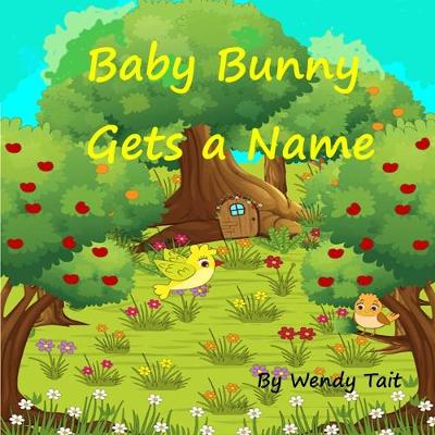 Book cover for Baby Bunny Gets a Name