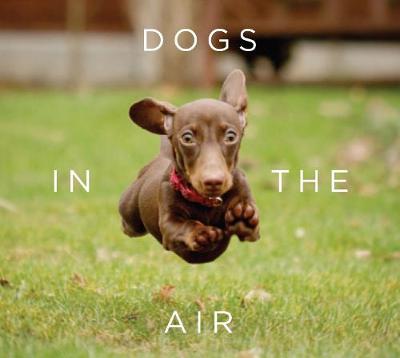 Book cover for Dogs in the Air