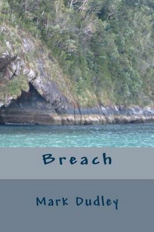 Cover of Breach