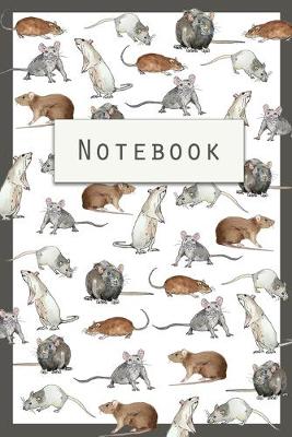 Book cover for Rat Notebook