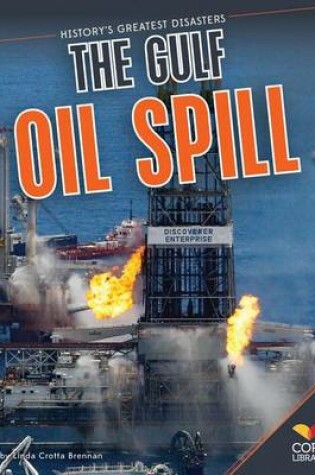 Cover of Gulf Oil Spill