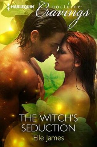 Cover of The Witch's Seduction