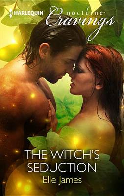 Book cover for The Witch's Seduction