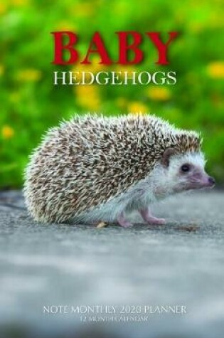 Cover of Baby Hedgehogs Note Monthly 2020 Planner 12 Month Calendar