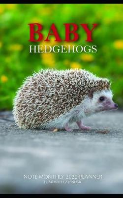 Book cover for Baby Hedgehogs Note Monthly 2020 Planner 12 Month Calendar