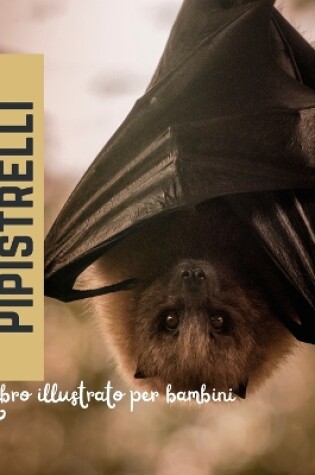 Cover of Pipistrelli