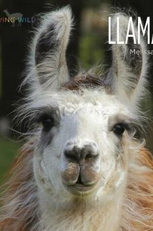 Cover of Llamas