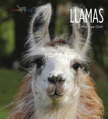 Book cover for Llamas