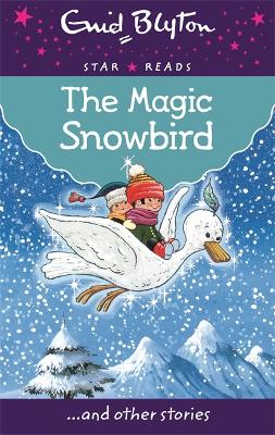 Book cover for The Magic Snowbird