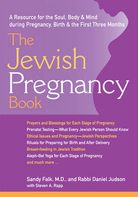 Book cover for Jewish Pregnancy Book