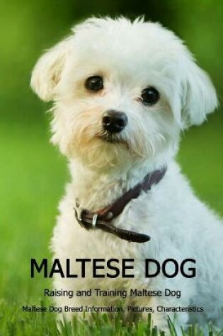 Cover of Maltese Dog