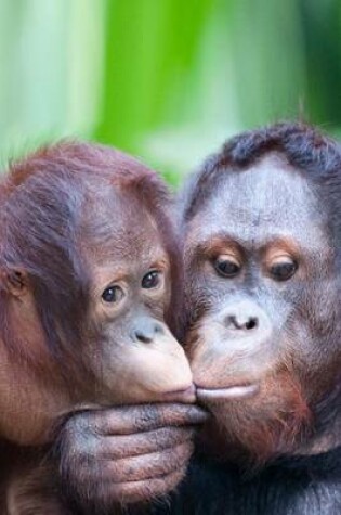 Cover of The Orangutan Kiss Journal - Love in the Wild