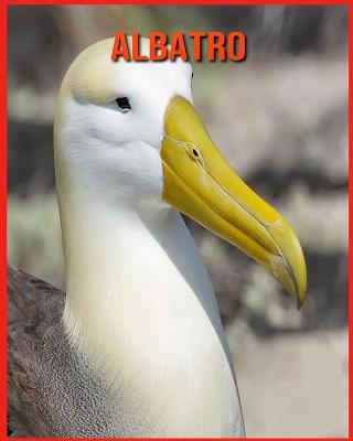 Book cover for Albatro