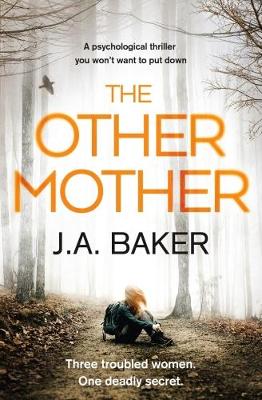 Book cover for The Other Mother