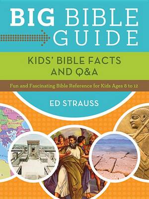 Book cover for Big Bible Guide