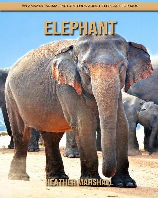 Book cover for Elephant