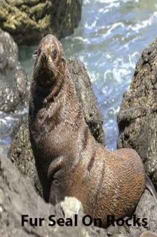 Cover of Fur Seal on Rocks collegereuledlinepaper Composition Book