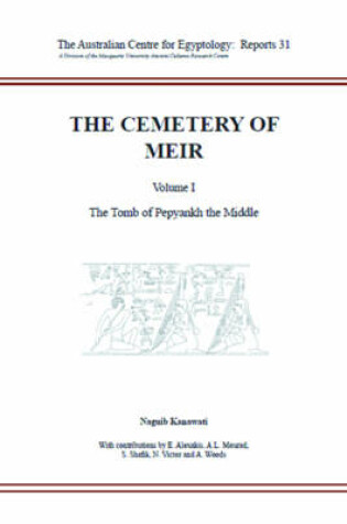 Cover of The Cemetery of Meir, Volume I