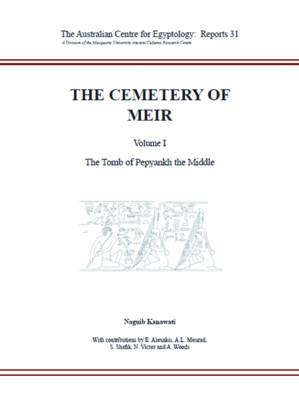 Book cover for The Cemetery of Meir, Volume I