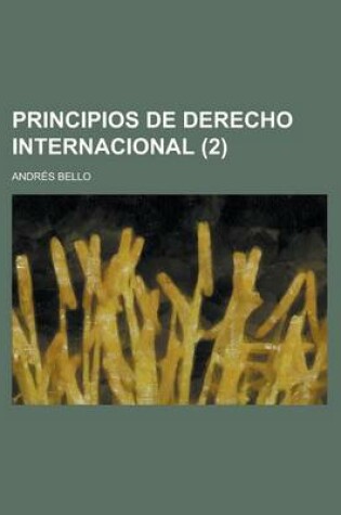 Cover of Principios de Derecho Internacional (2)