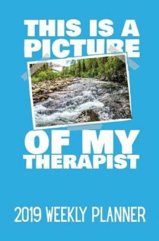 Cover of This Is a Picture of My Therapist