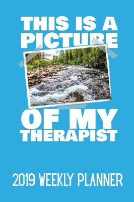 Book cover for This Is a Picture of My Therapist