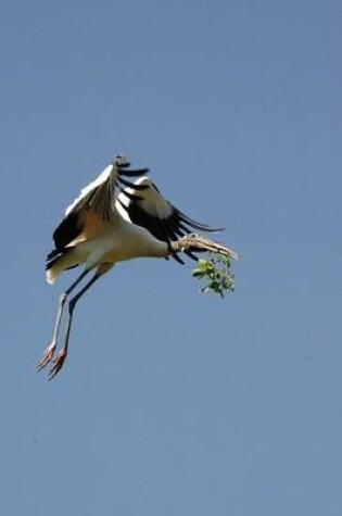 Cover of Wood Stork in Flight Bird Journal