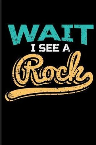 Cover of Wait I See a Rock