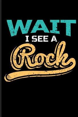 Book cover for Wait I See a Rock