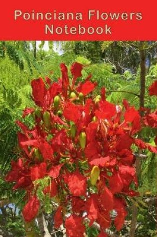 Cover of Poinciana Flowers Notebook