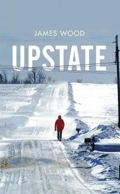 Book cover for Upstate