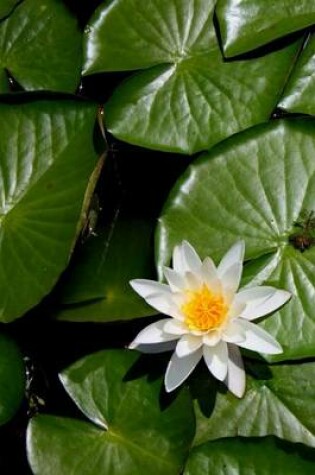 Cover of Lily Pads in the Pond, for the Love of Flowers