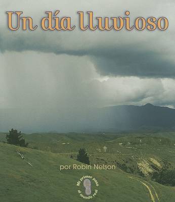 Book cover for Un Dia Lluvioso