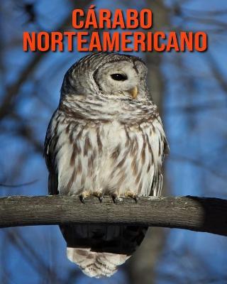 Book cover for Cárabo norteamericano