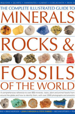 Cover of Minerals, Rocks and Fossils of the World