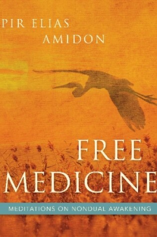 Cover of Free Medicine