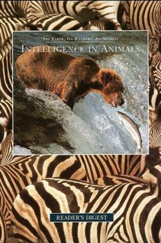 Cover of Intelligence in Animals