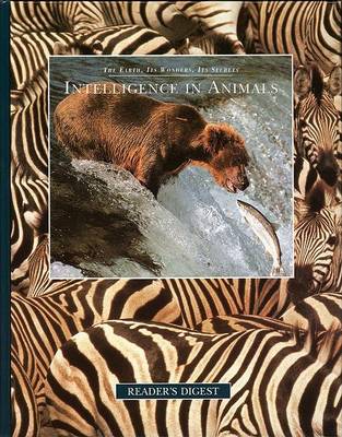 Cover of Intelligence in Animals