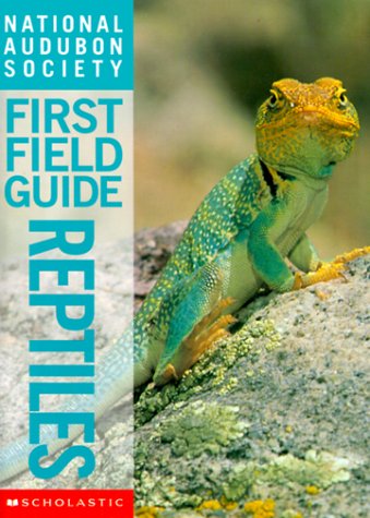 Book cover for National Audubon Society First Field Guide Reptiles