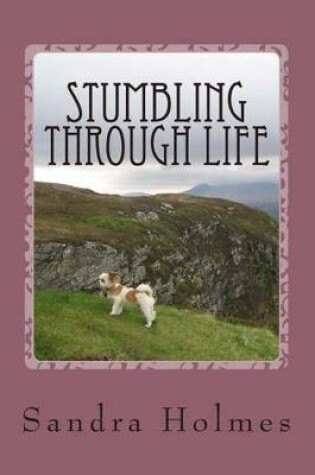 Cover of Stumbling Through Life