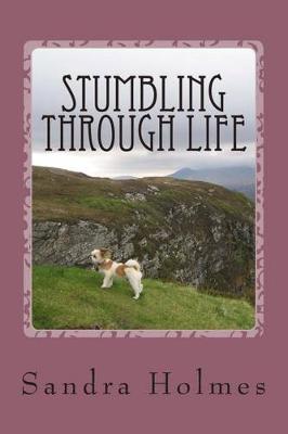 Book cover for Stumbling Through Life