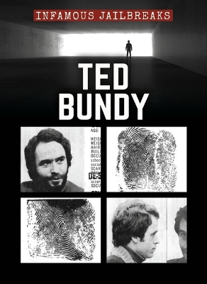 Book cover for Ted Bundy