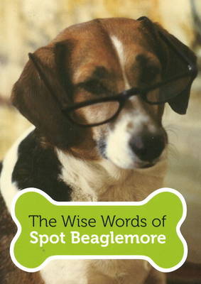 Book cover for The Wise Words of Spot Beaglemore