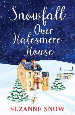 Cover of Snowfall Over Halesmere House