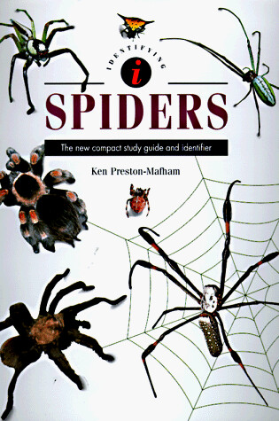 Cover of Identifying Spiders